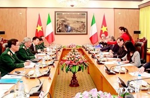 Vietnam, Italy hold defense policy dialogue - ảnh 1
